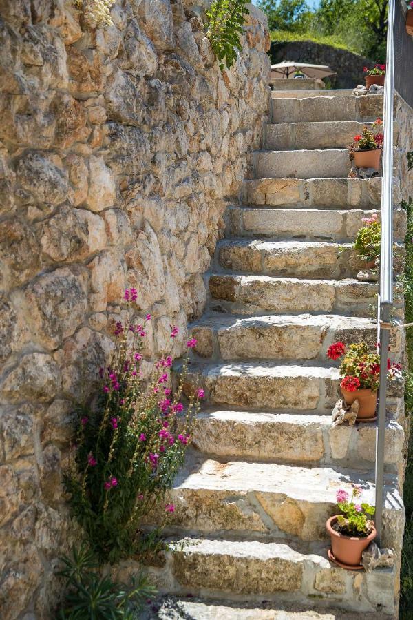 Boutique B&B Mali Pariz Grizane-Belgrad Exterior photo